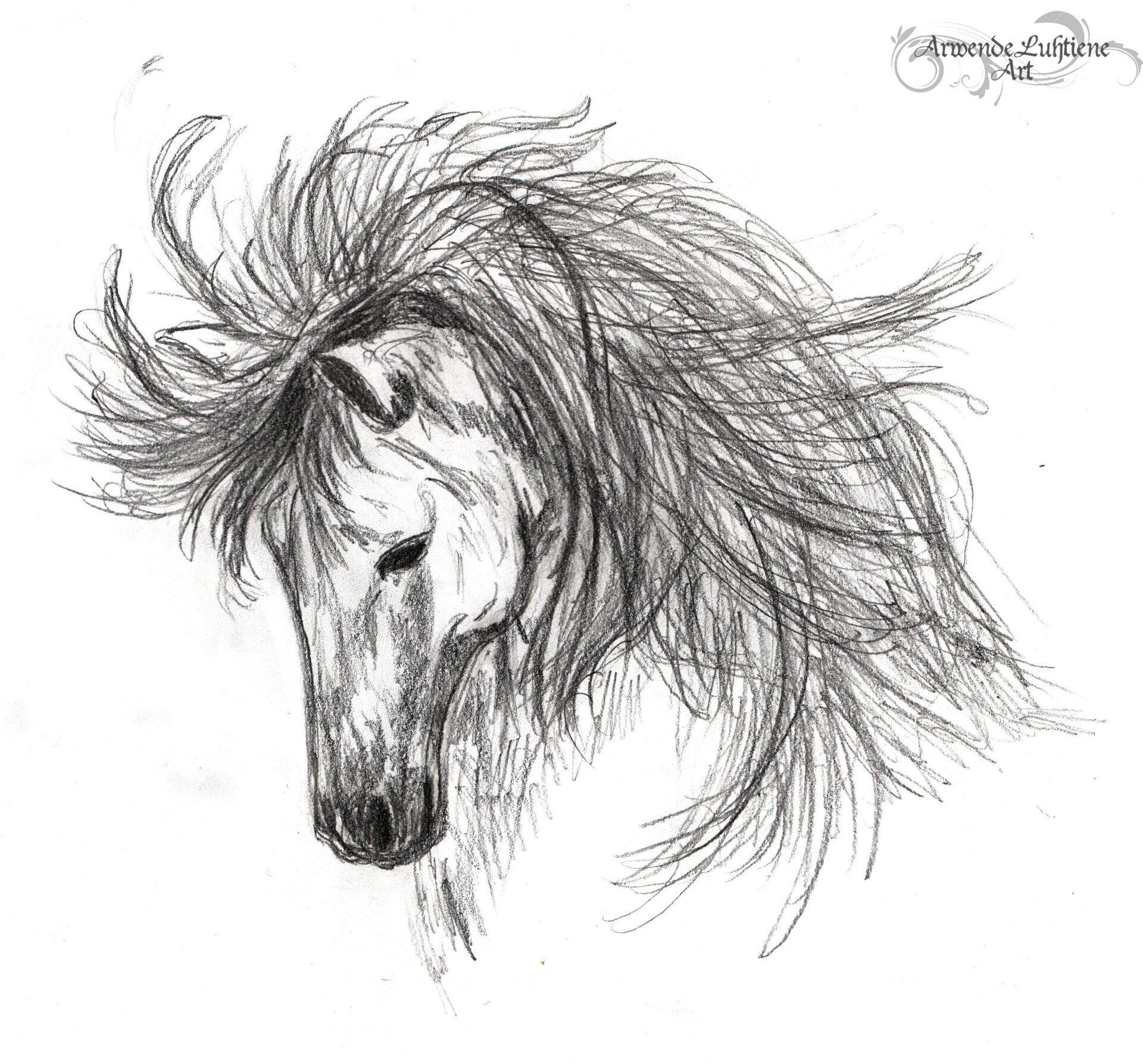 Pretty Horse Drawings Wallpapers