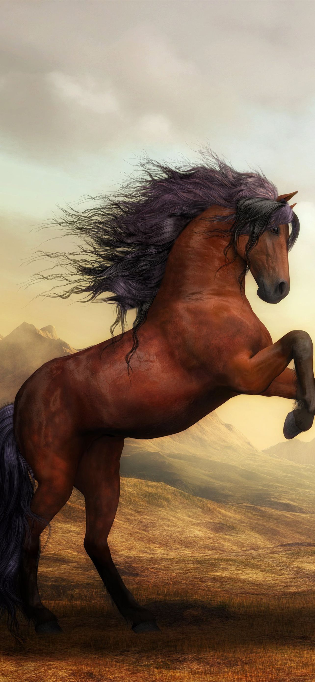 Pretty Horse Drawings Wallpapers