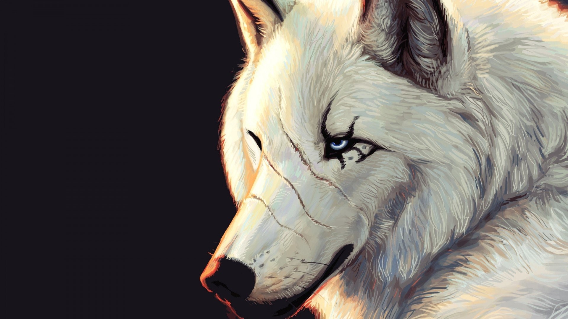 Pretty Wolf Wallpapers