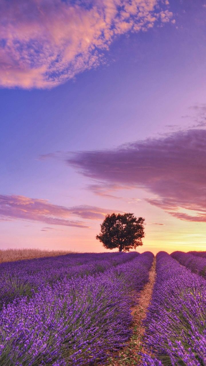 Provence France Wallpapers