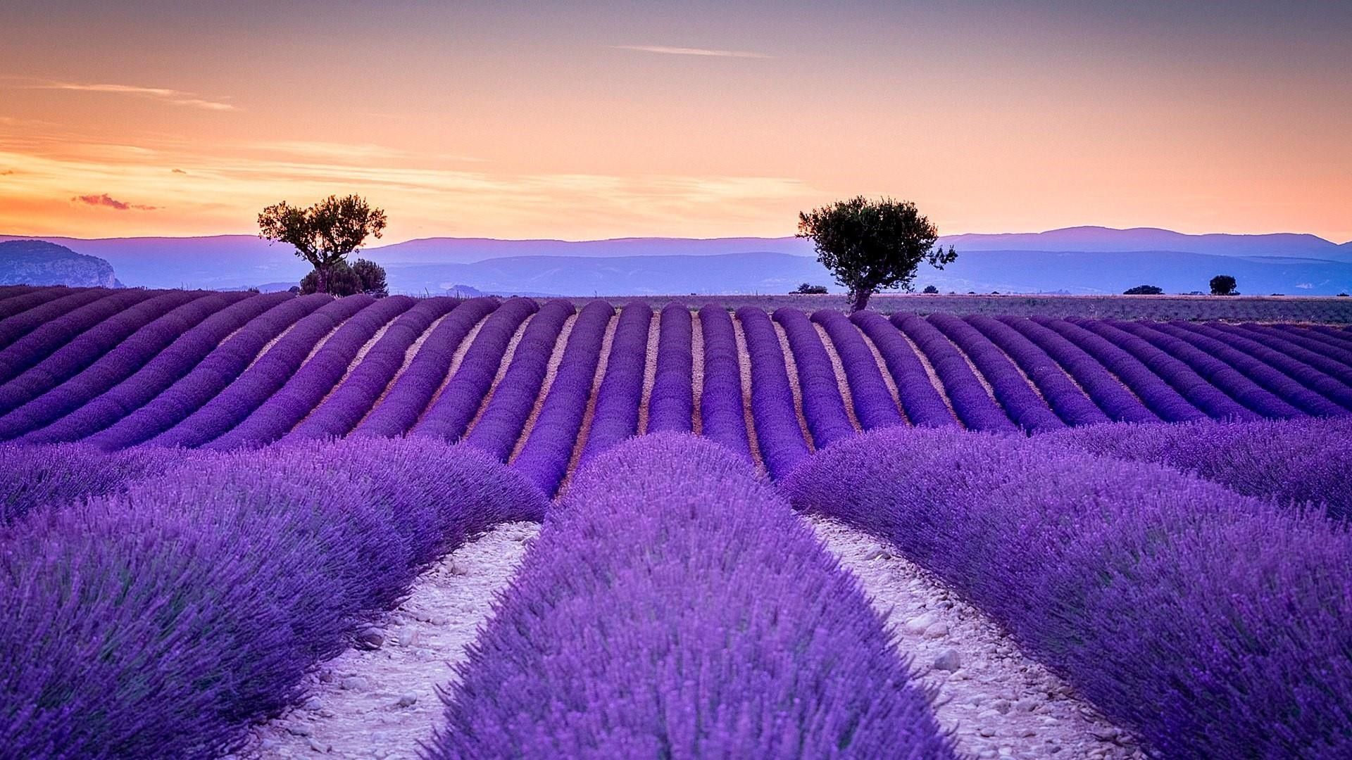 Provence France Wallpapers