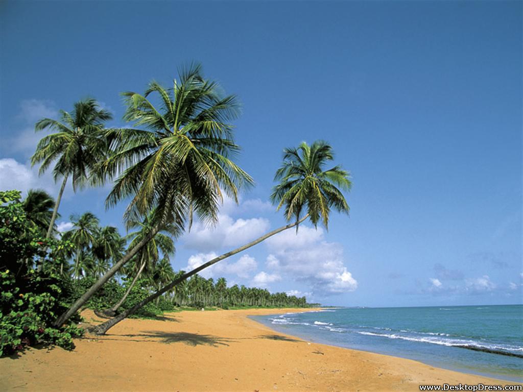 Puerto Rico Beach Wallpapers