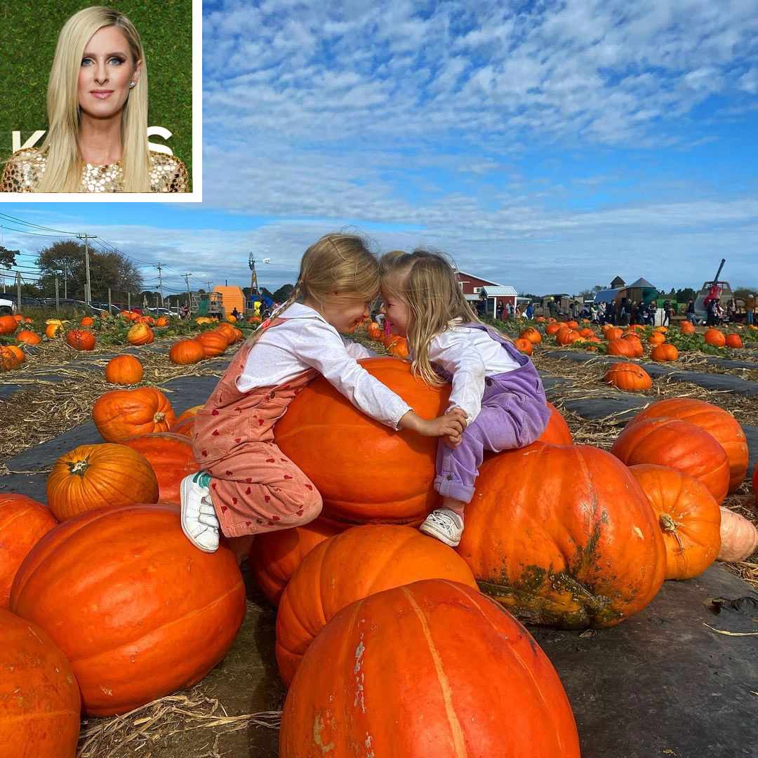 Pumpkin Patch Wallpapers