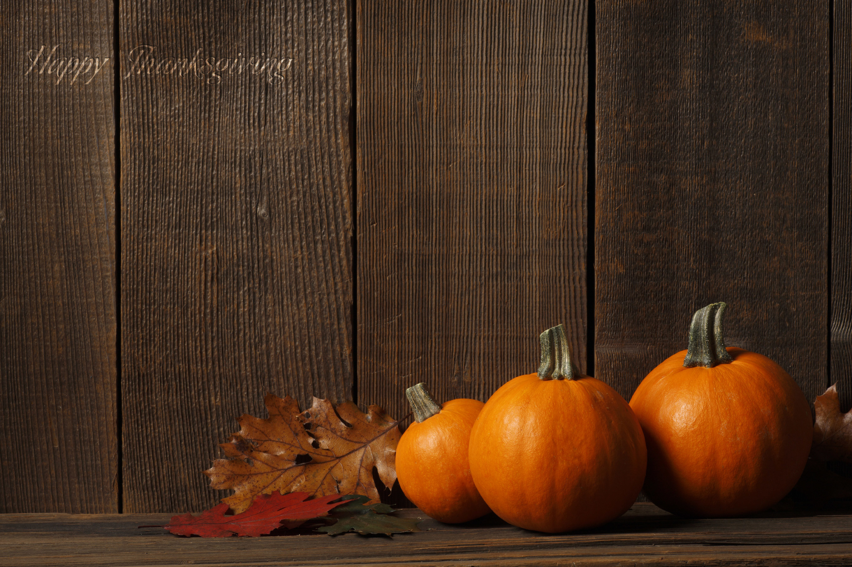 Pumpkin Hd Wallpapers