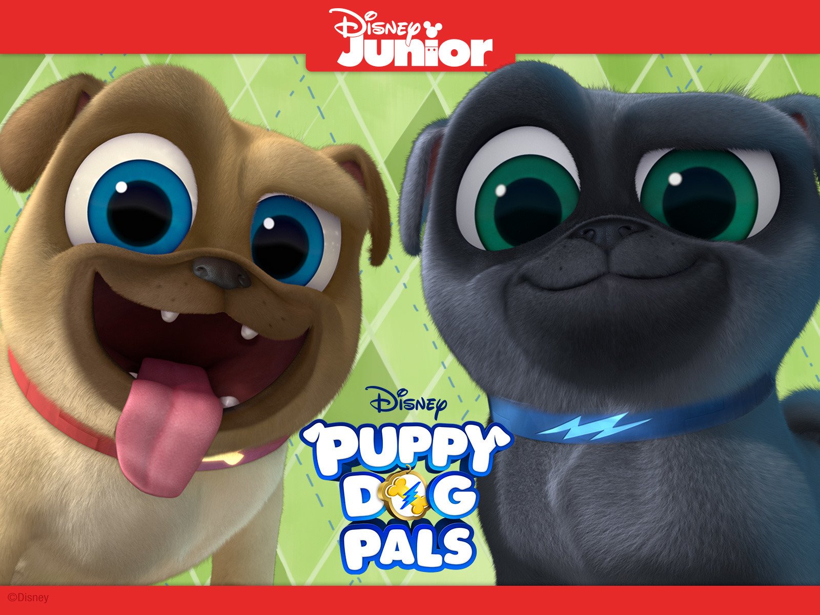 Puppy Dog Pals Wallpapers