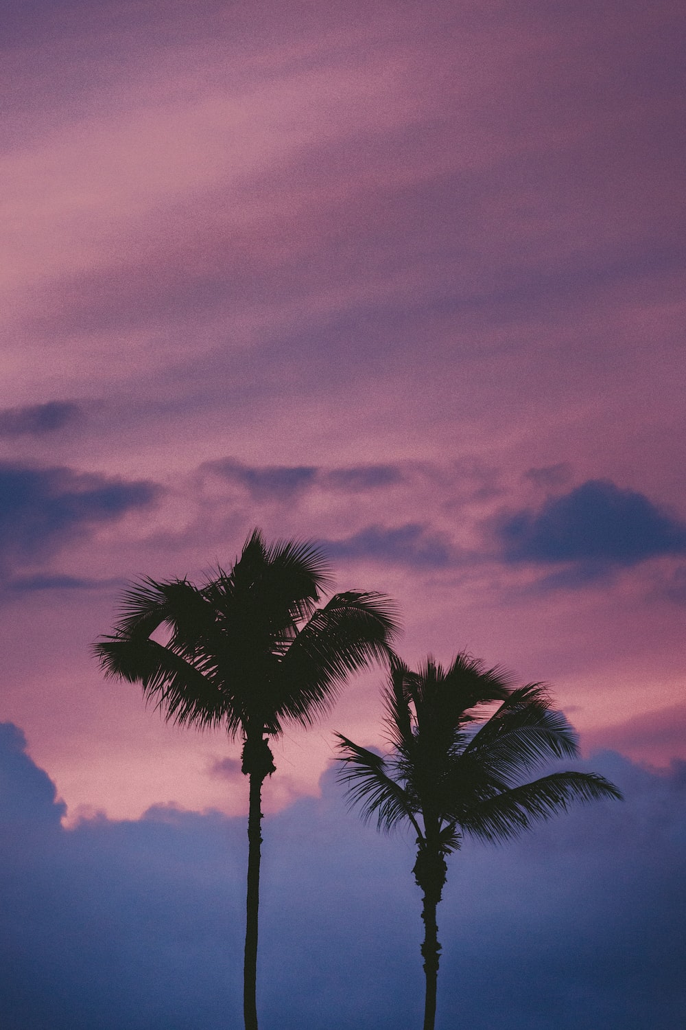 Purple And Pink Aesthetic Wallpapers