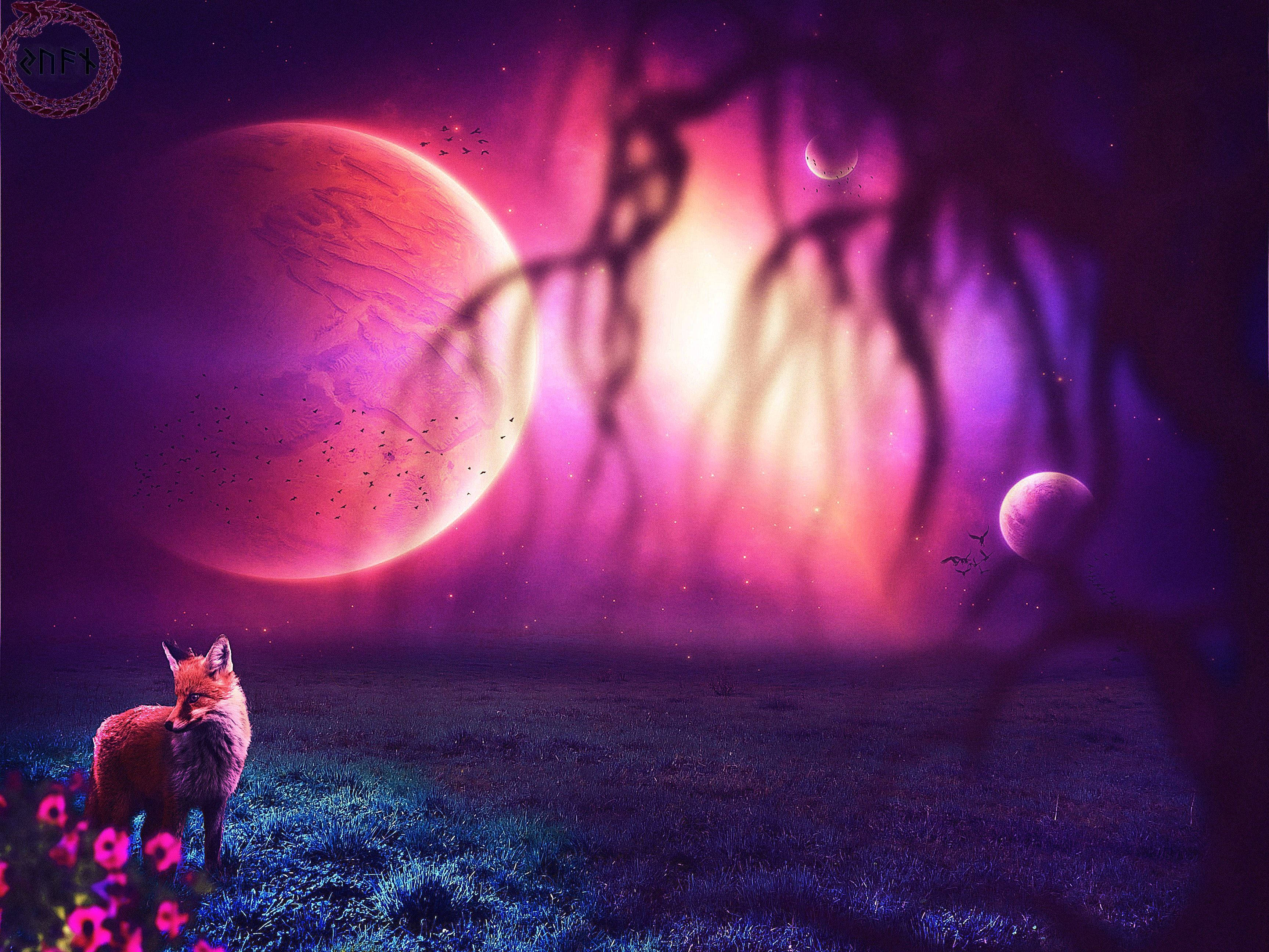 Purple Animal Wallpapers