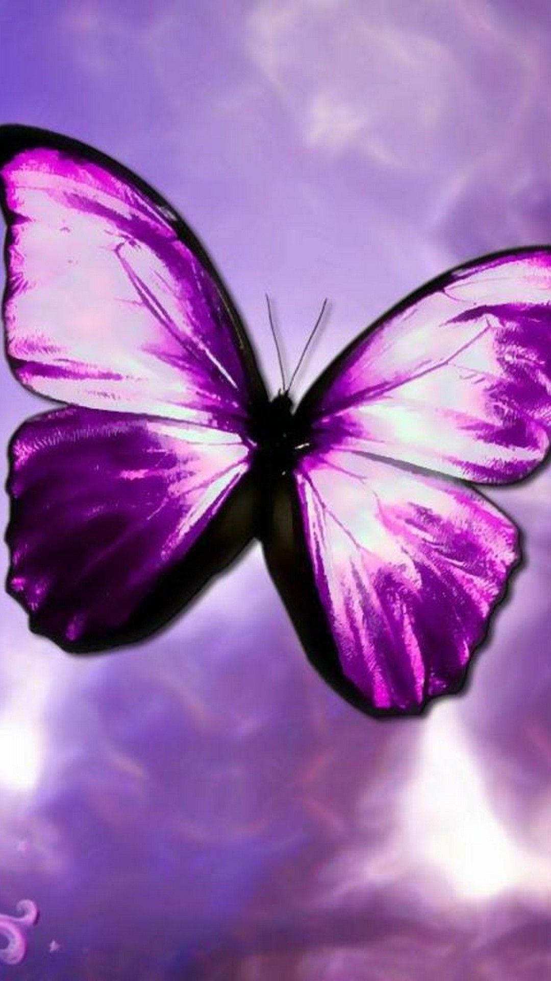 Purple Butterfly Wallpapers