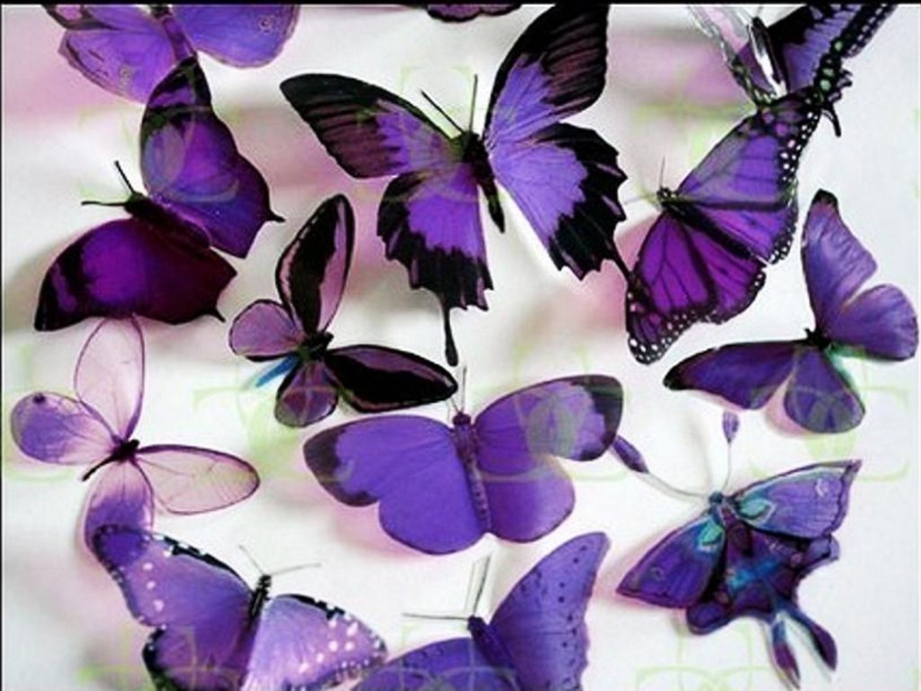 Purple Butterfly Wallpapers