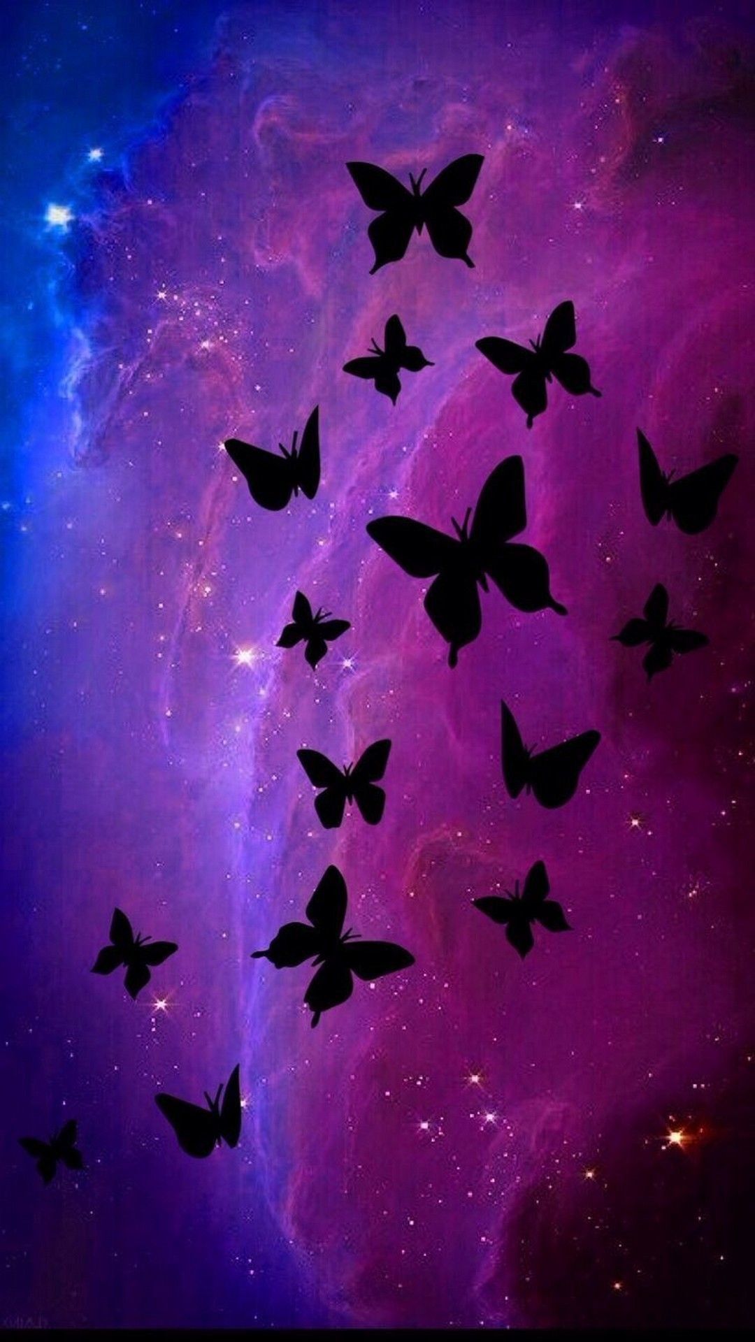 Purple Butterfly Wallpapers