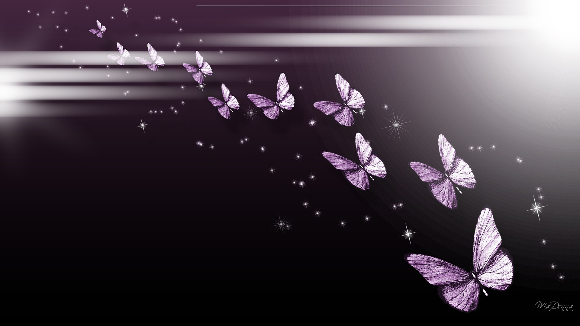 Purple Butterfly Wallpapers