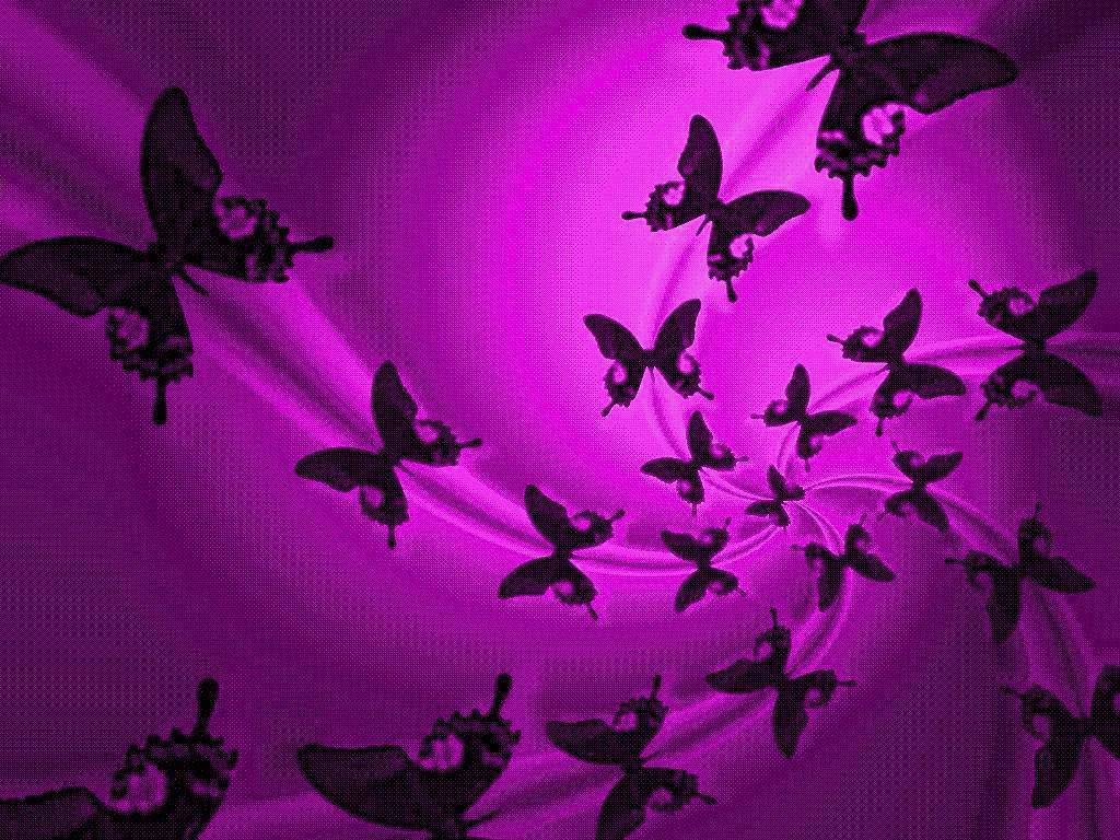 Purple Butterfly Wallpapers