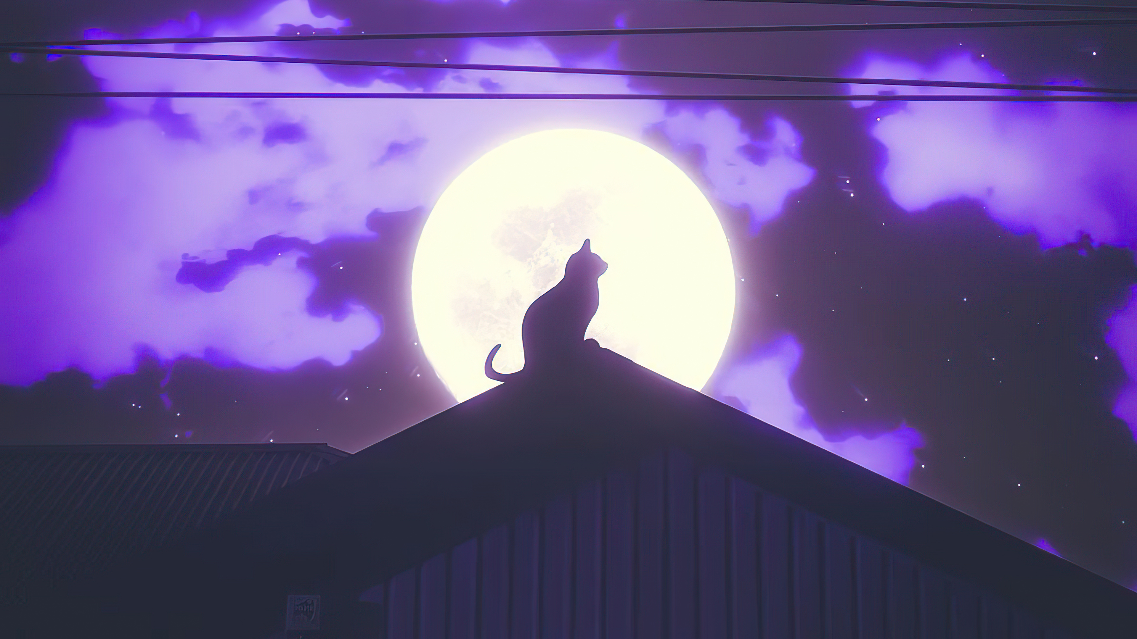 Purple Cat Aesthetic Wallpapers