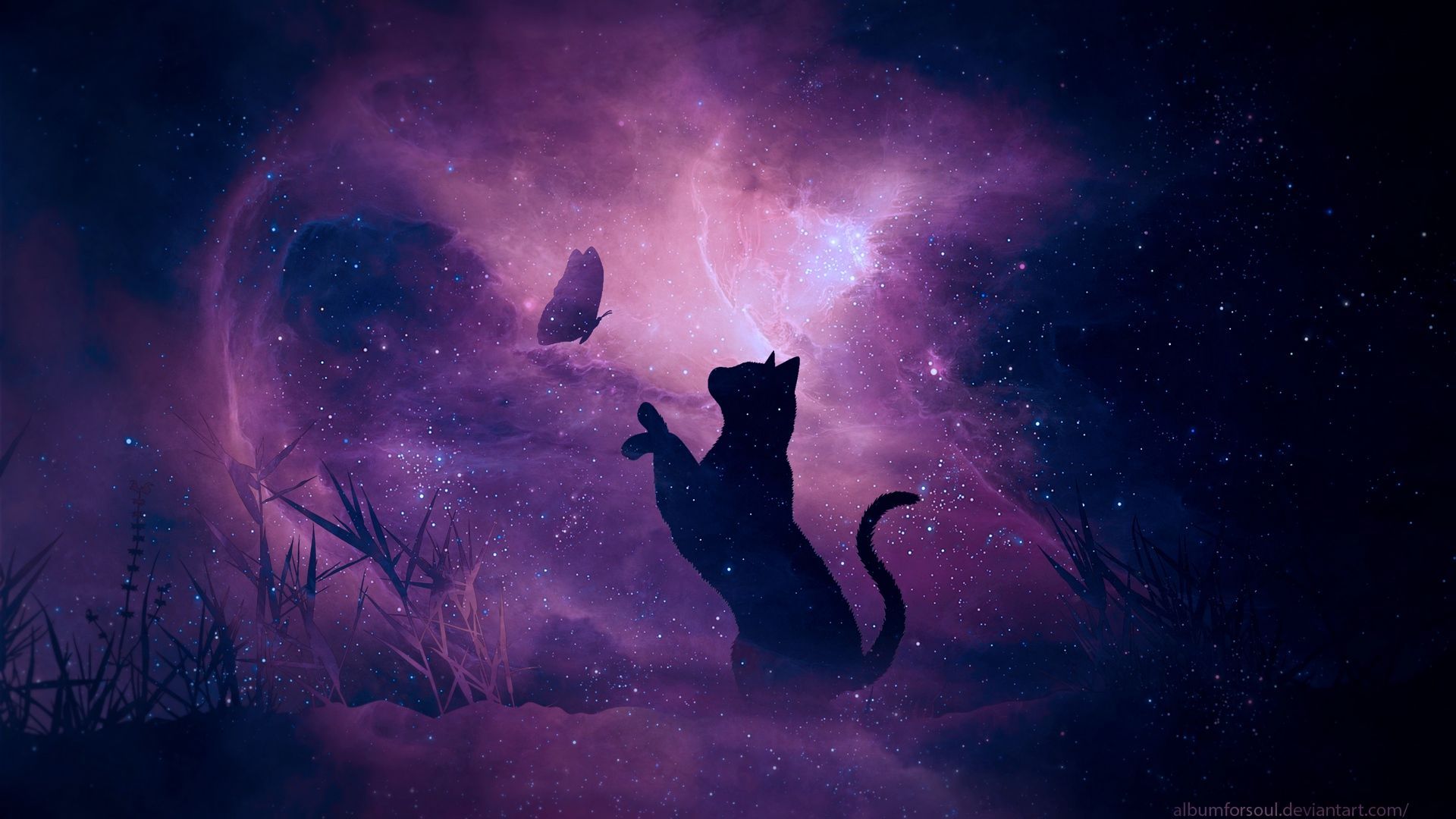 Purple Cat Aesthetic Wallpapers