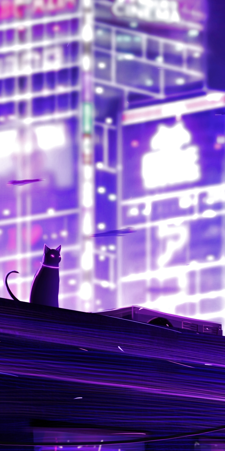 Purple Cat Aesthetic Wallpapers