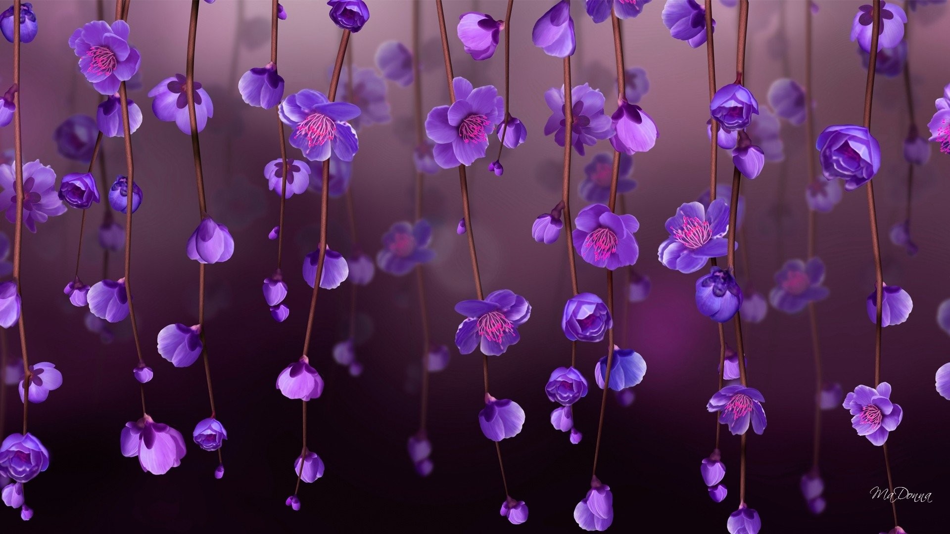 Purple Flower Desktop Wallpapers