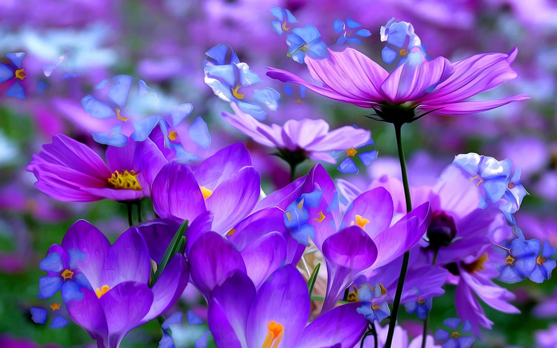 Purple Flower Desktop Wallpapers