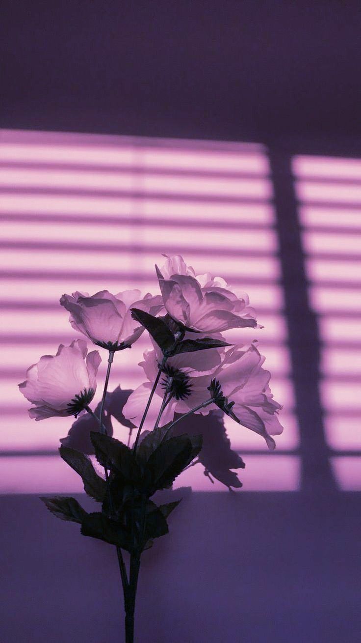 Purple Flowers Aesthetic Wallpapers