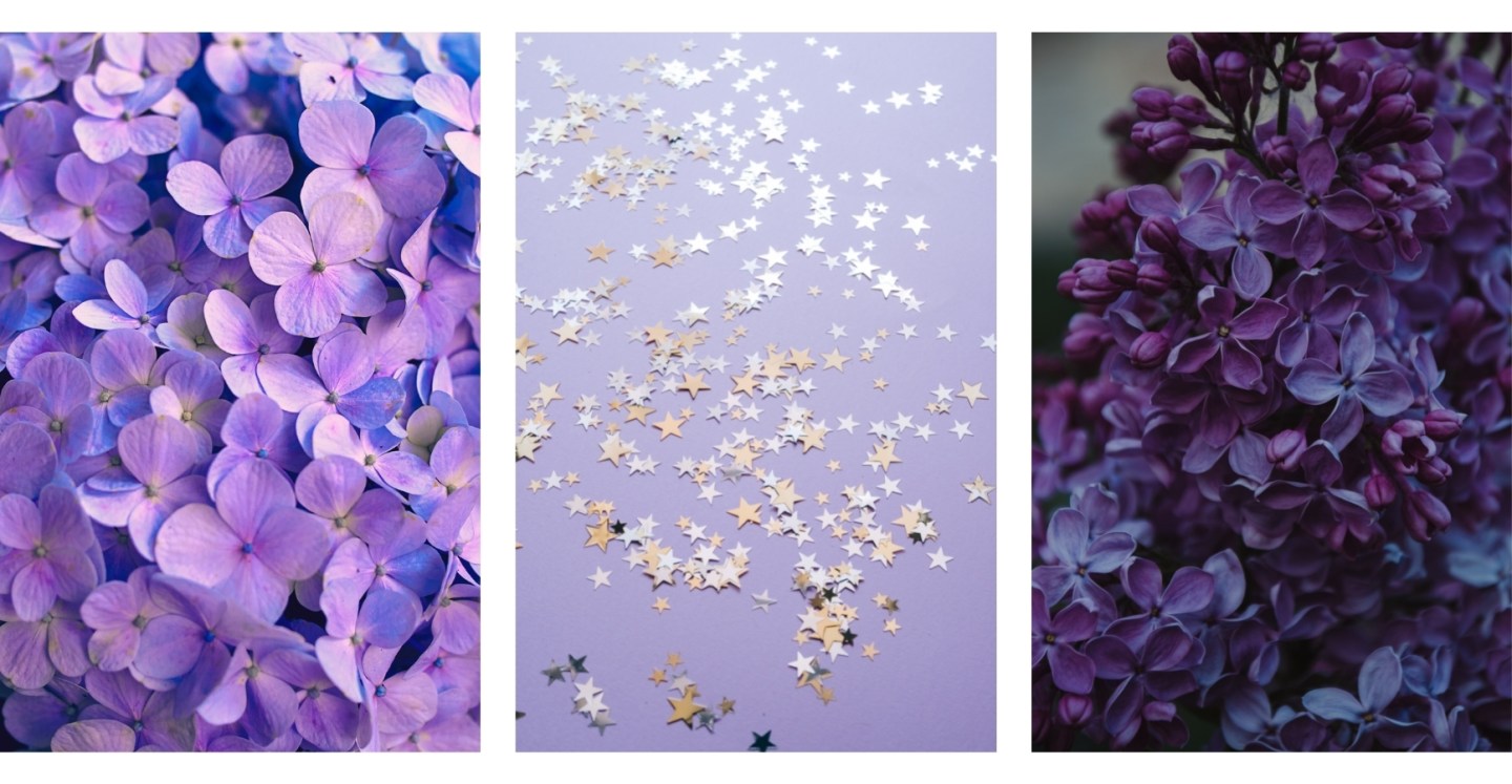 Purple Flowers Aesthetic Wallpapers