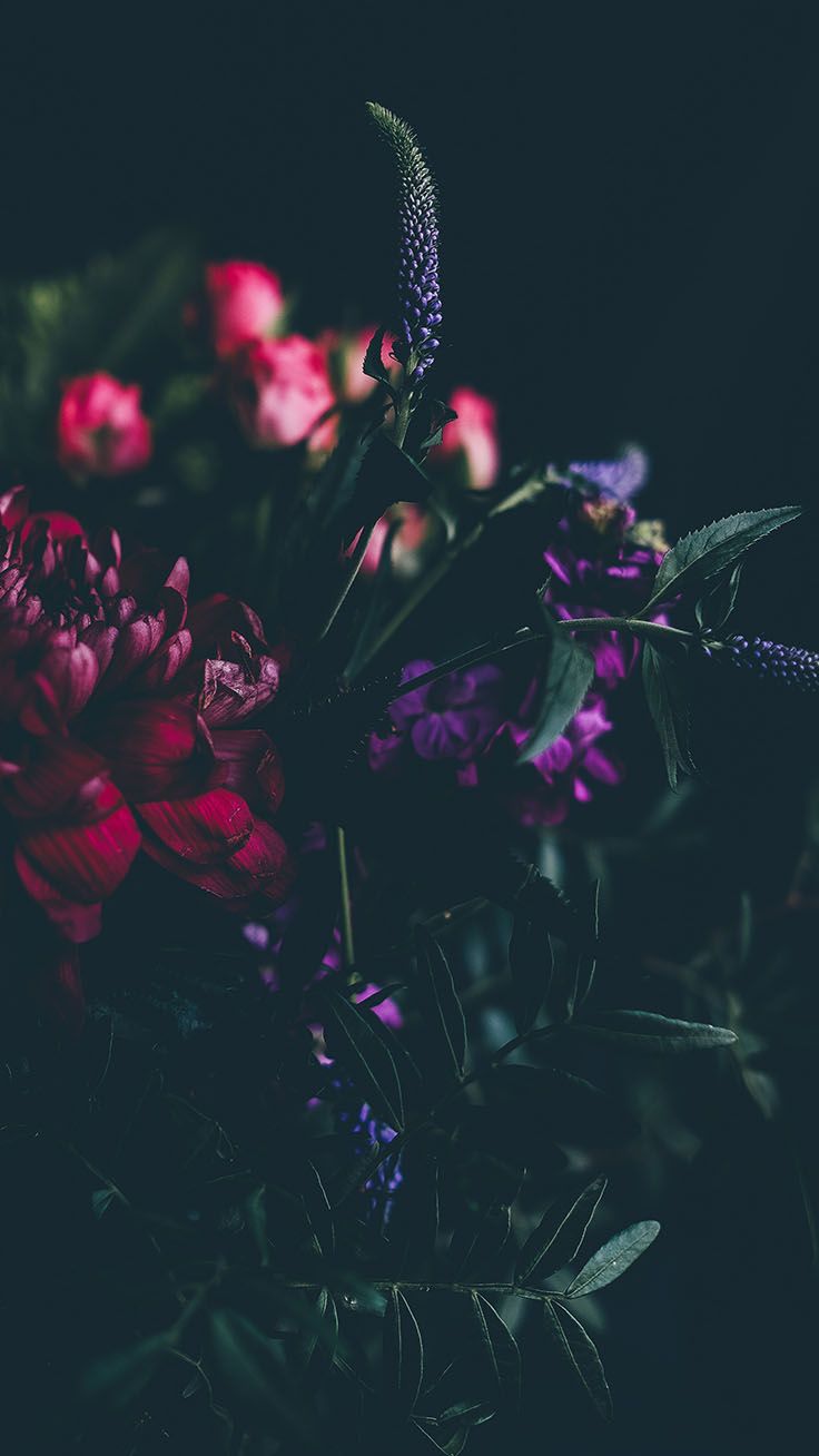 Purple Flowers Aesthetic Wallpapers