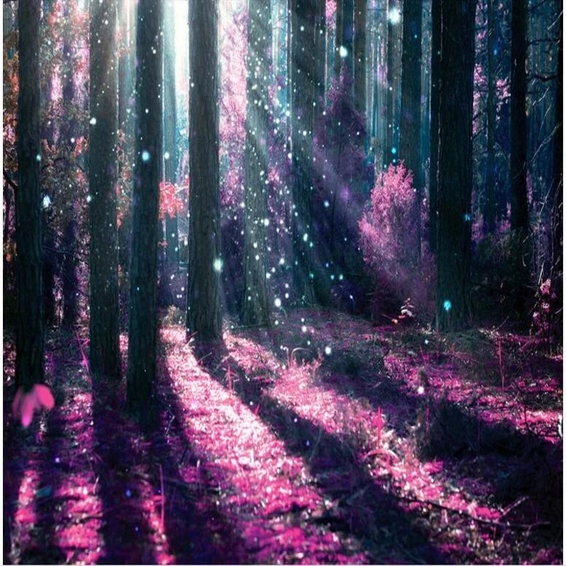 Purple Forest Wallpapers