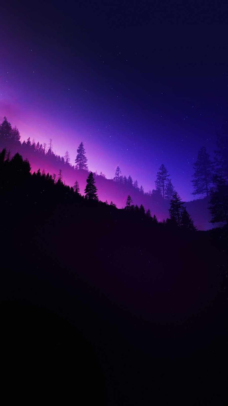 Purple Forest Wallpapers