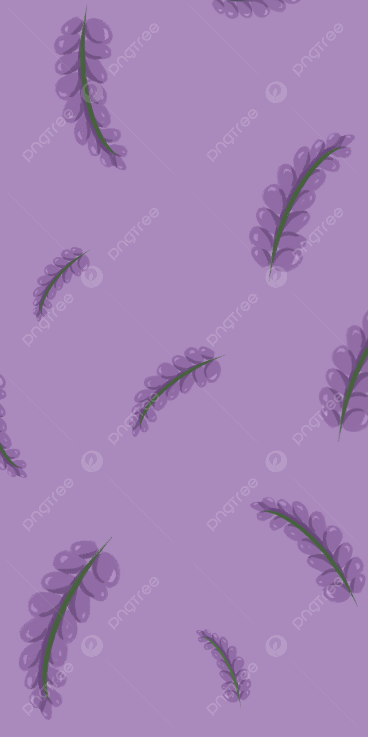 Purple Lavender Wallpapers