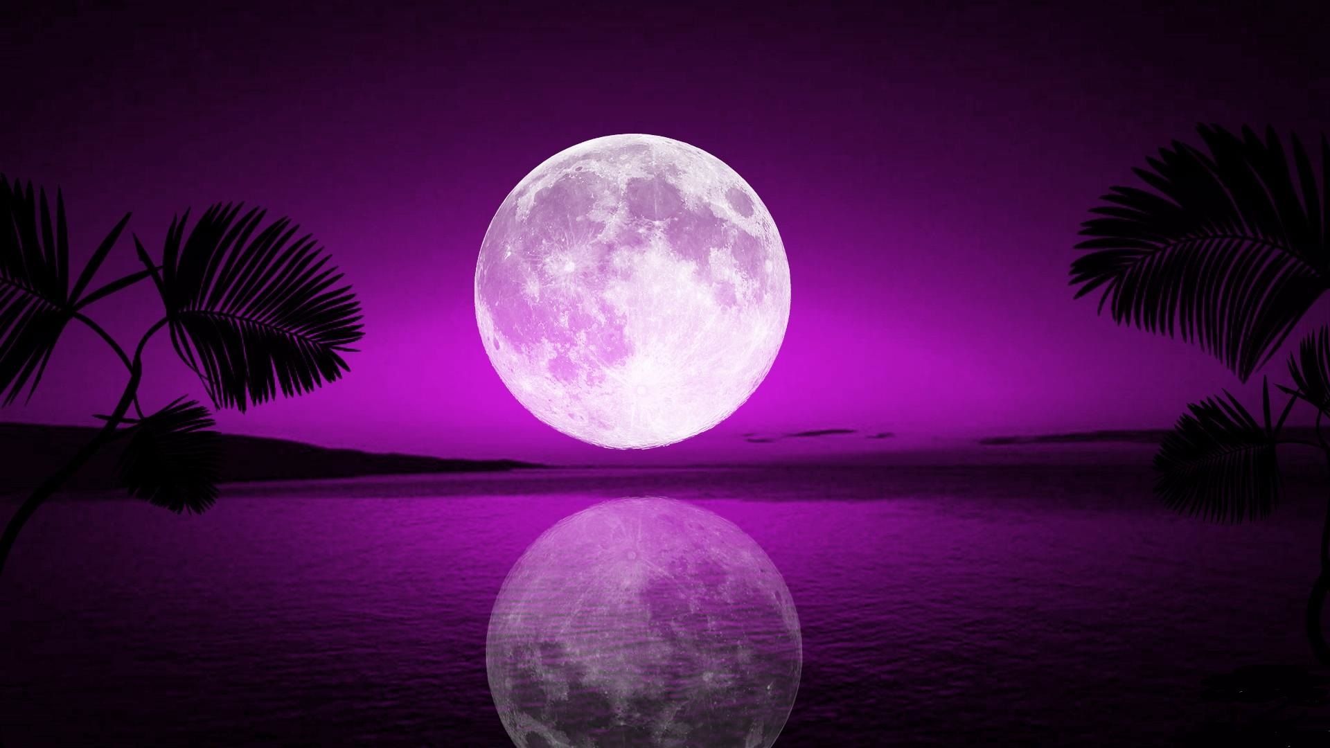 Purple Moonlight Download Wallpapers