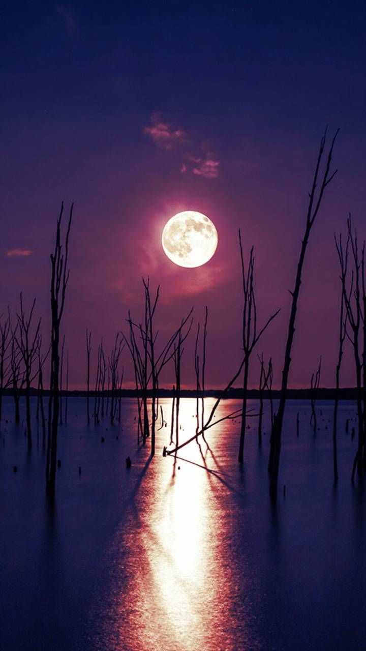 Purple Moonlight Download Wallpapers