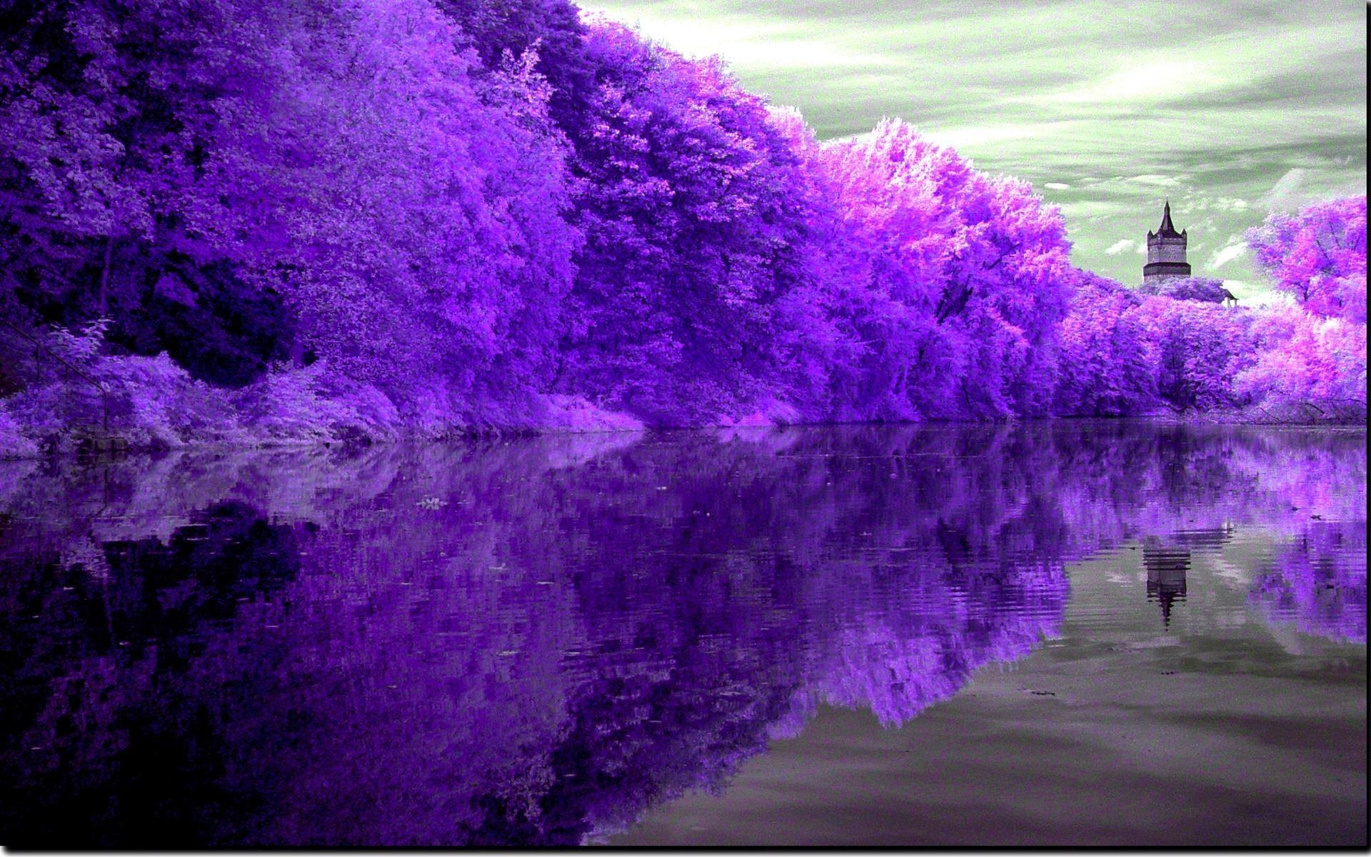 Purple Nature Wallpapers