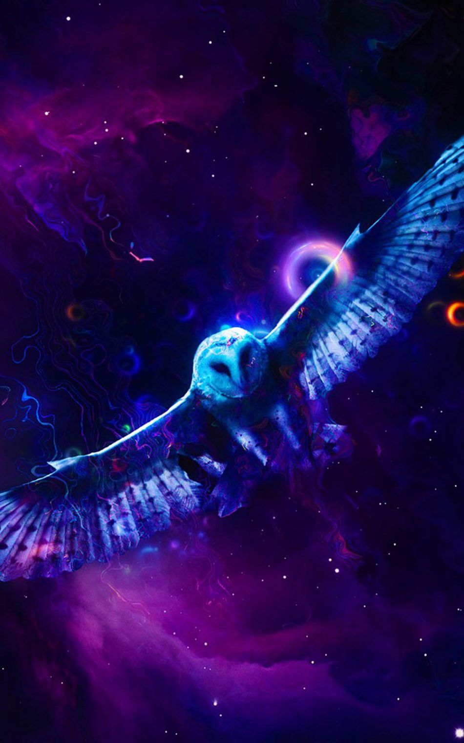 Purple Owl Wallpapers