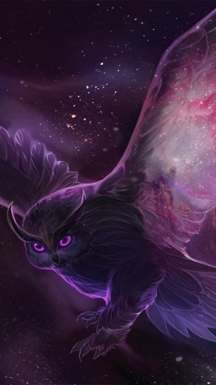 Purple Owl Wallpapers