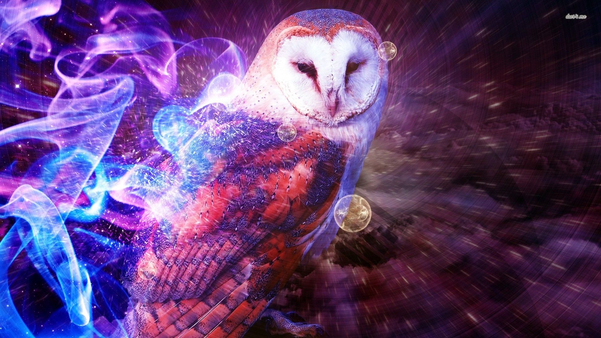 Purple Owl Wallpapers