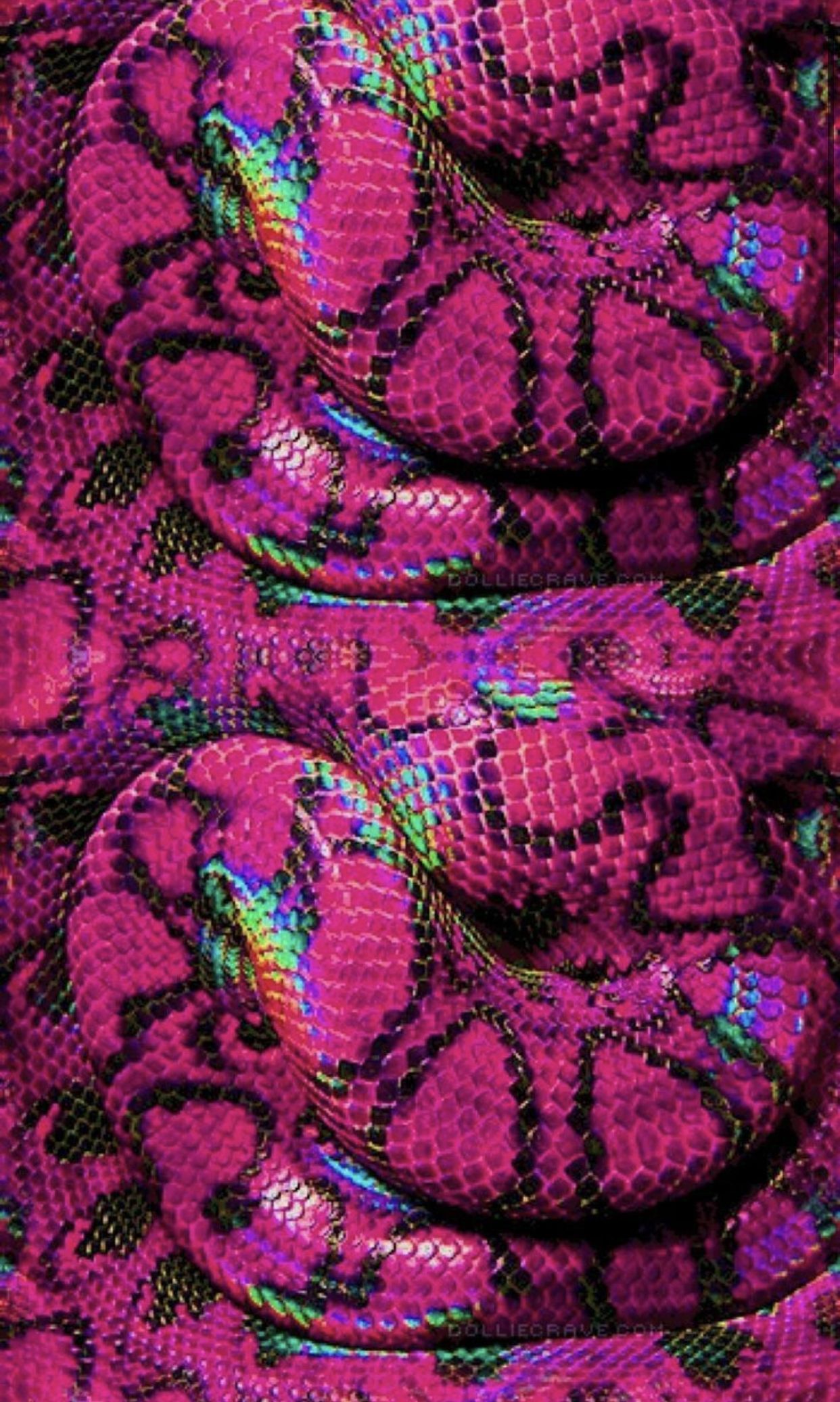 Purple Snake Wallpapers