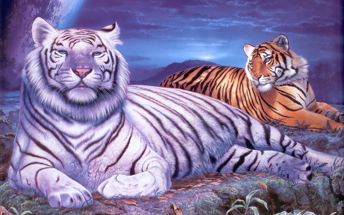 Purple Tiger Wallpapers