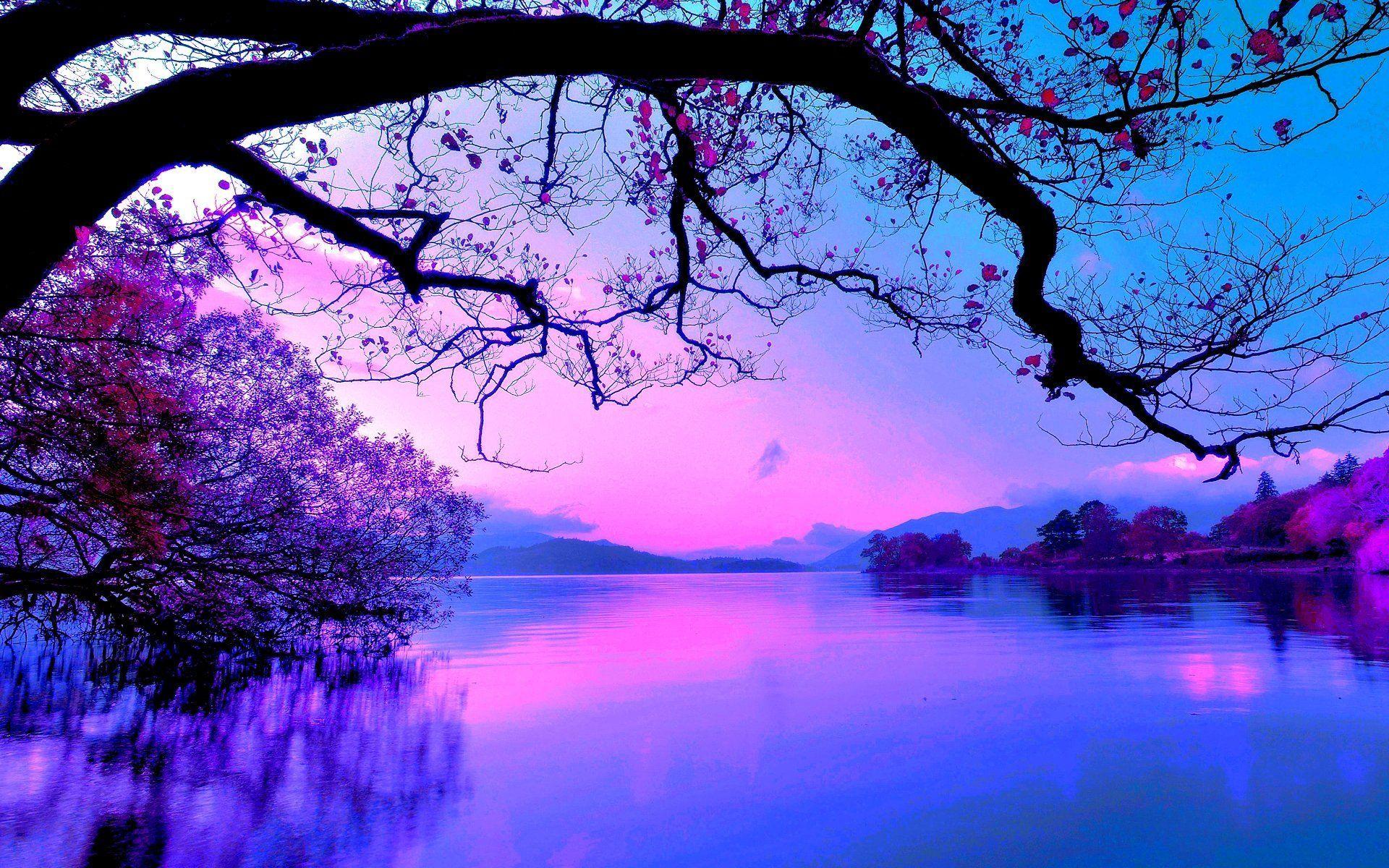 Purple Water Wallpapers