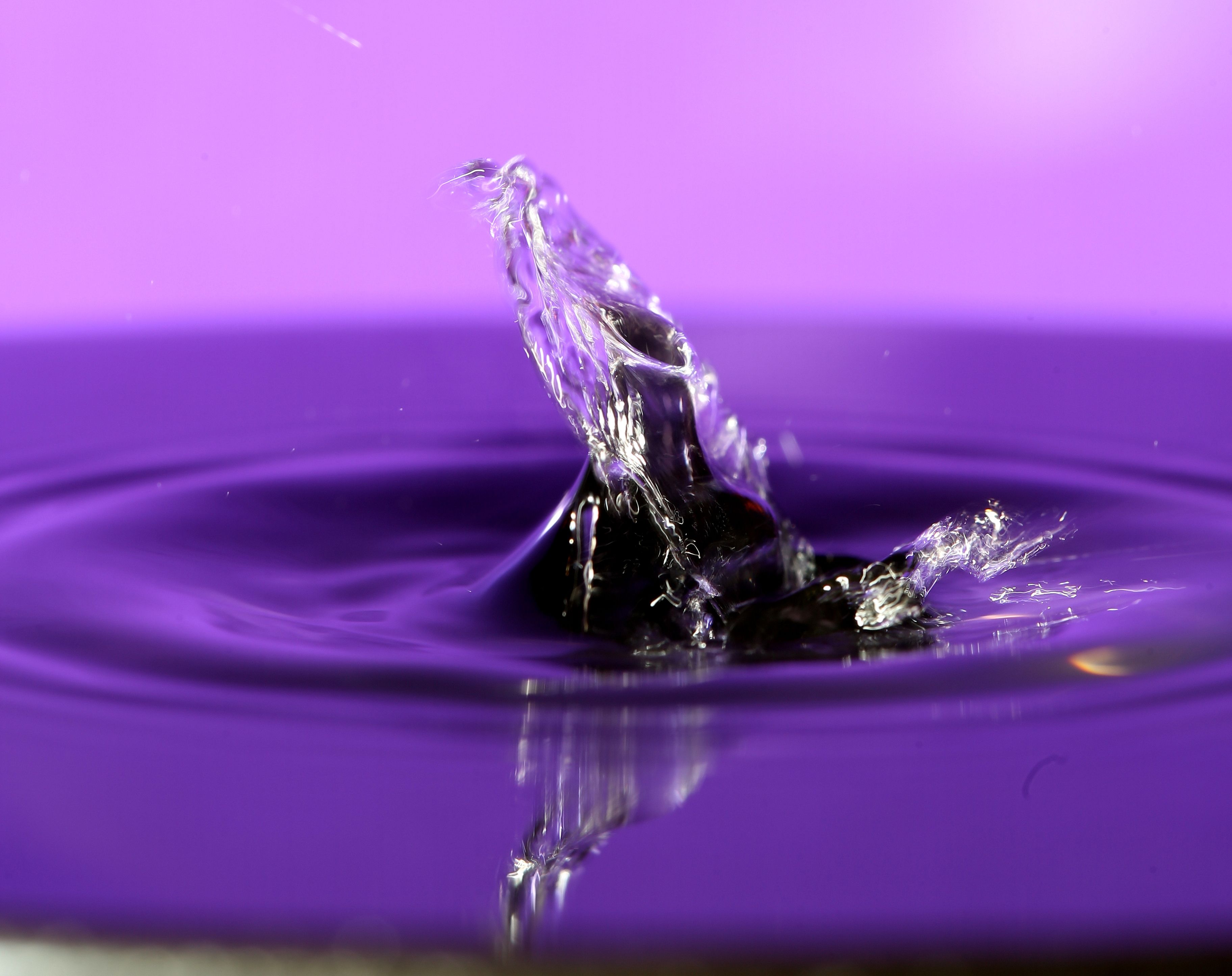 Purple Water Wallpapers