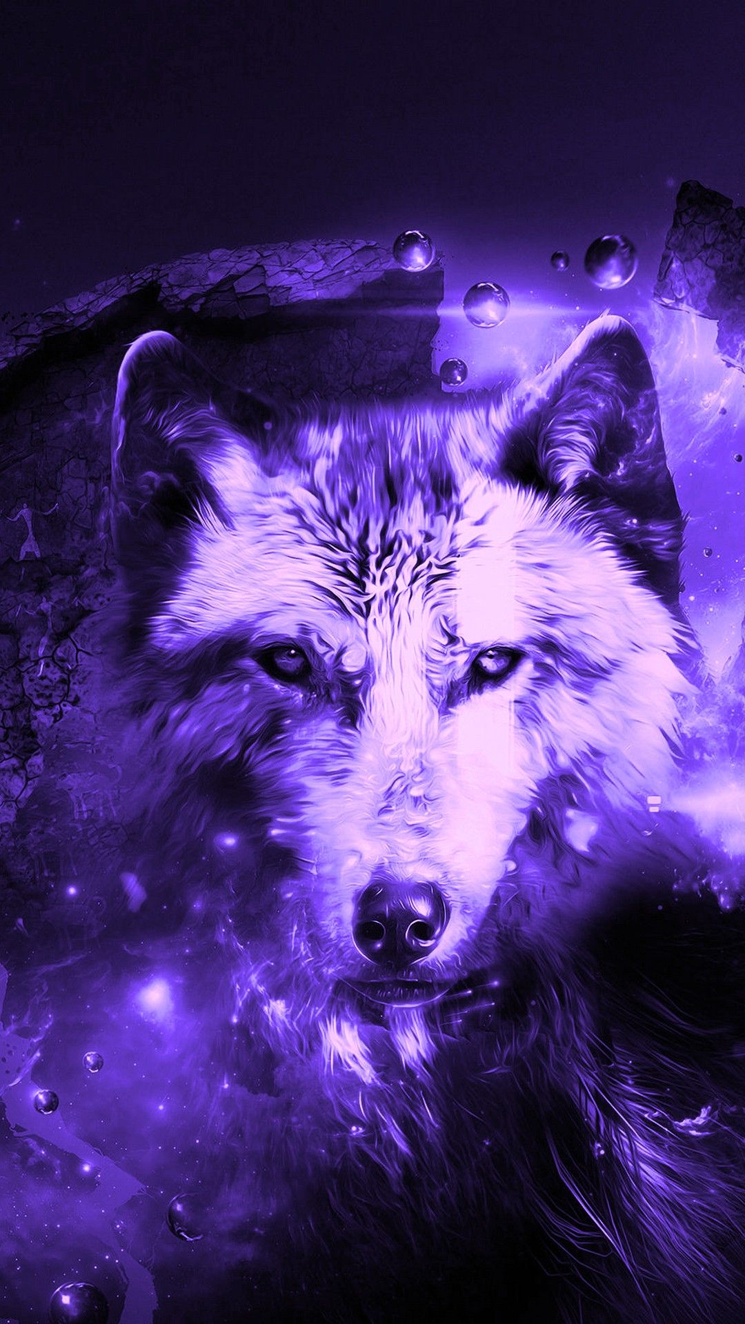 Purple Wolf Wallpapers