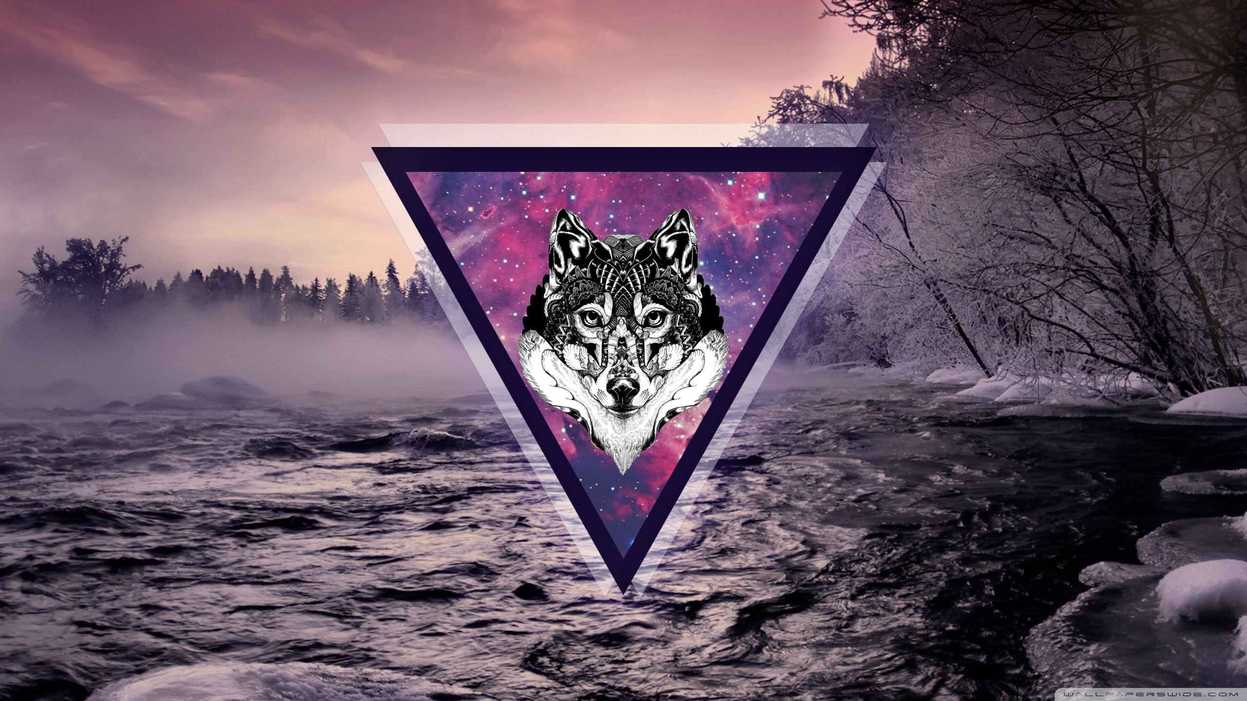 Purple Wolf Wallpapers