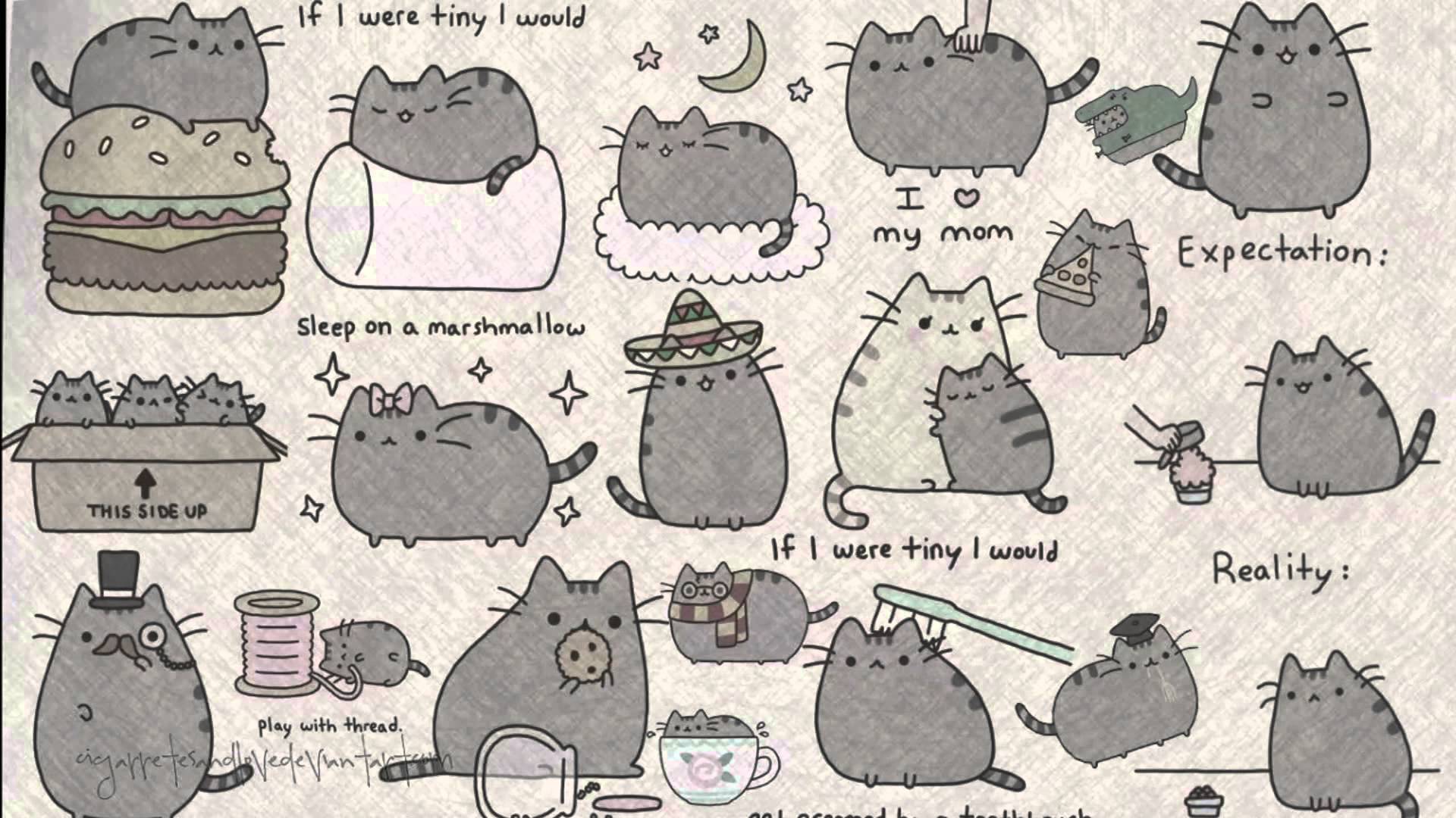 Pusheen Desktop Wallpapers