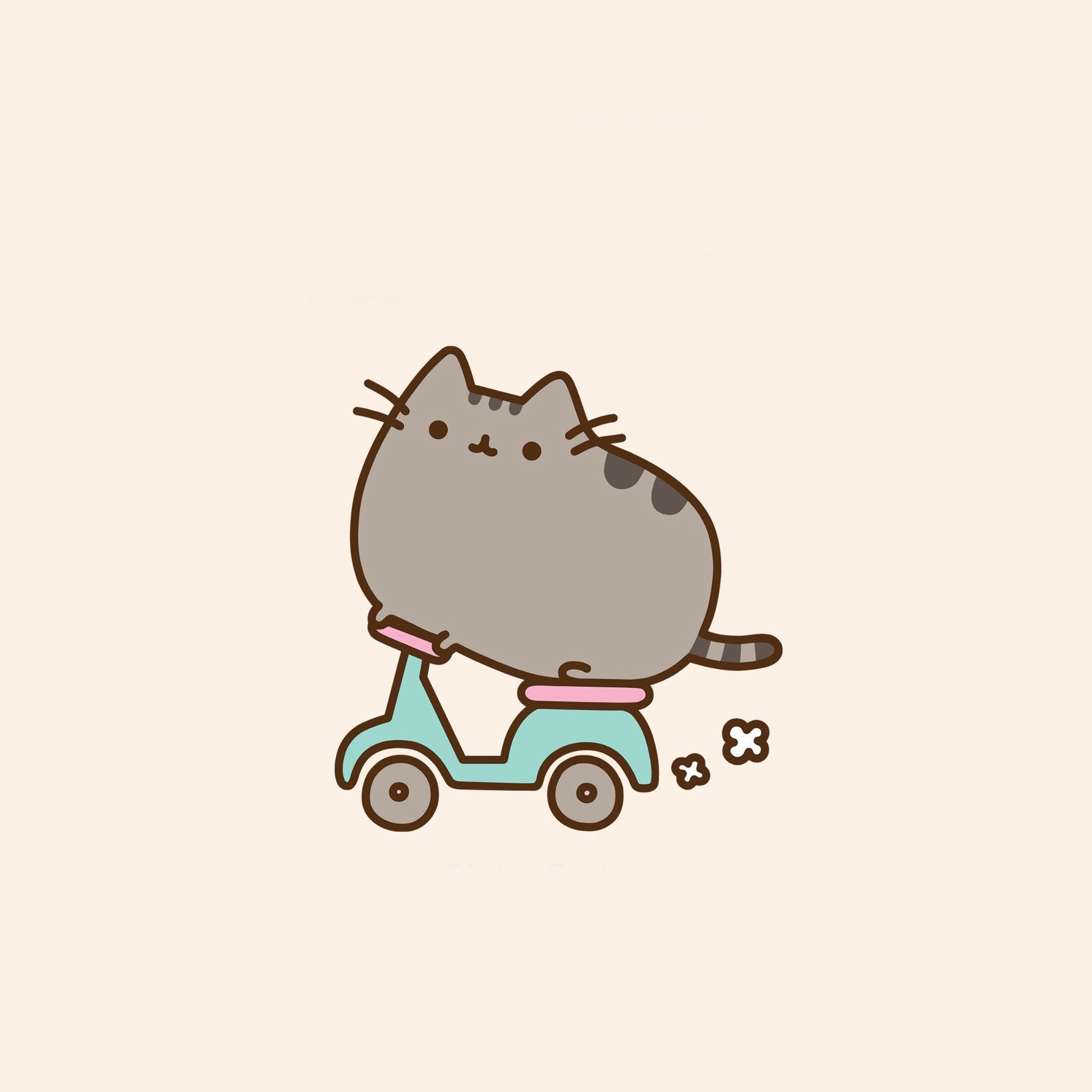 Pusheen Ipad Wallpapers