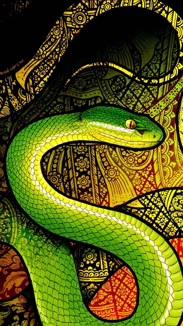 Python Snake Wallpapers