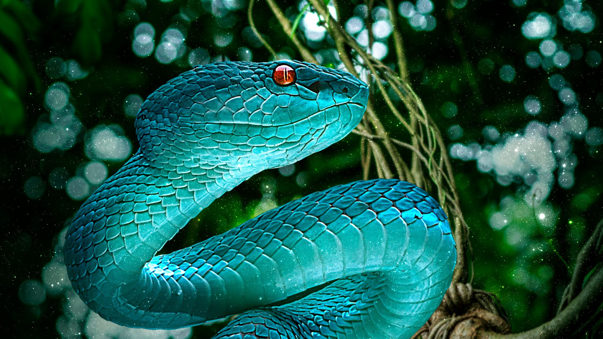 Python Snake Wallpapers