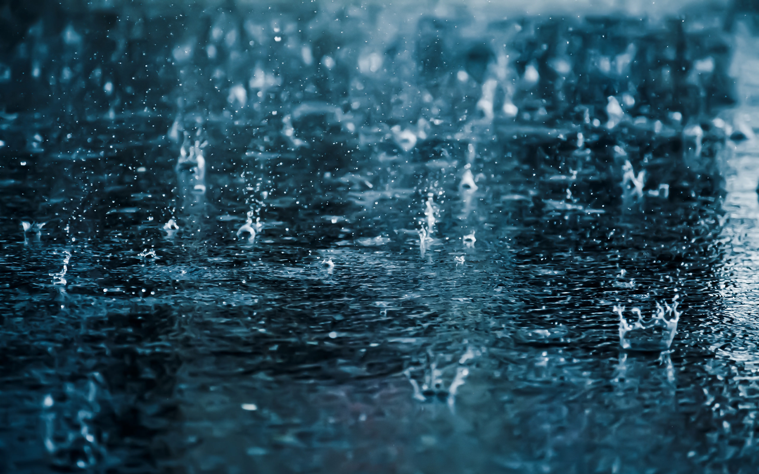 Rain Animated Wallpapers