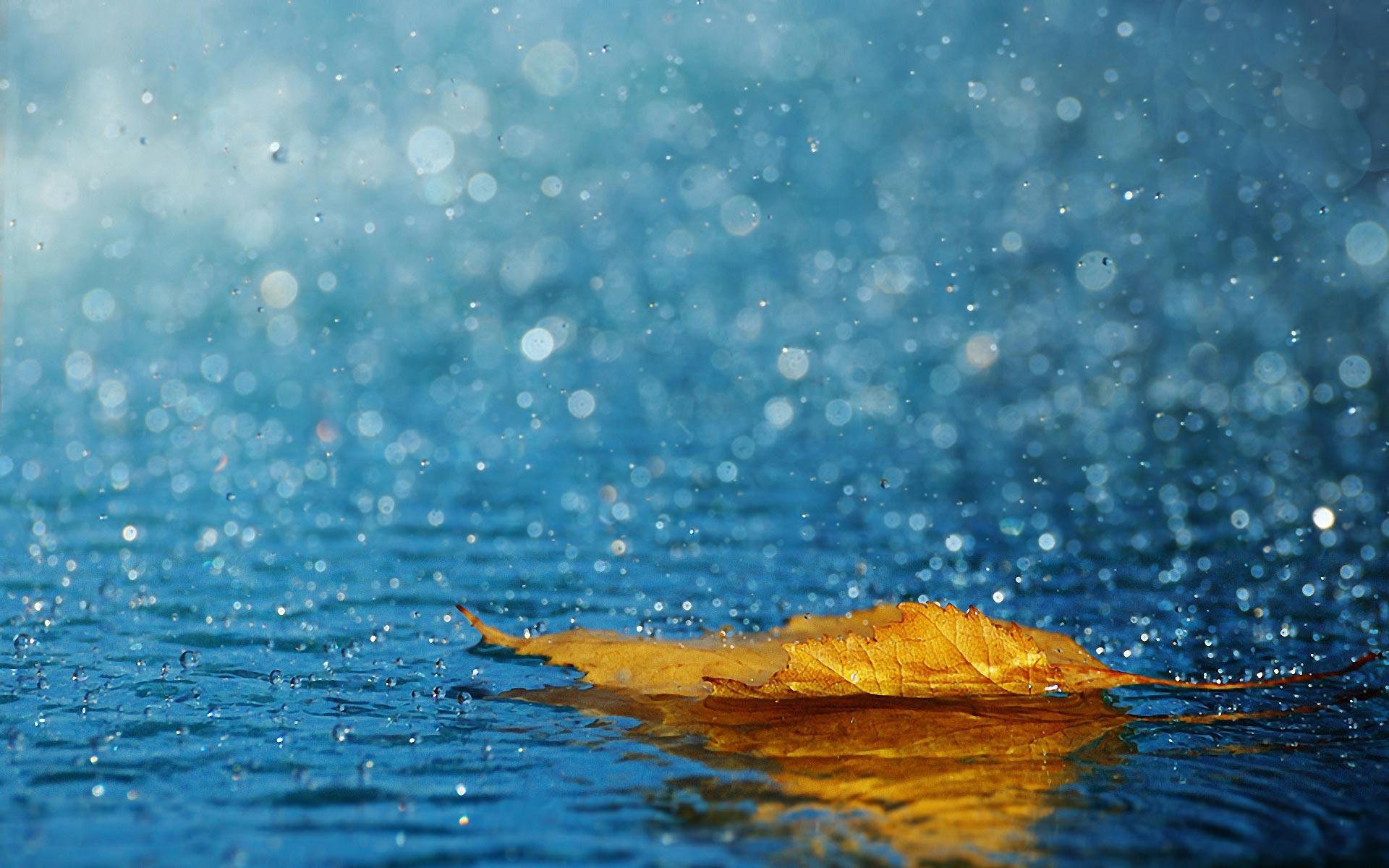 Rain Desktop Wallpapers