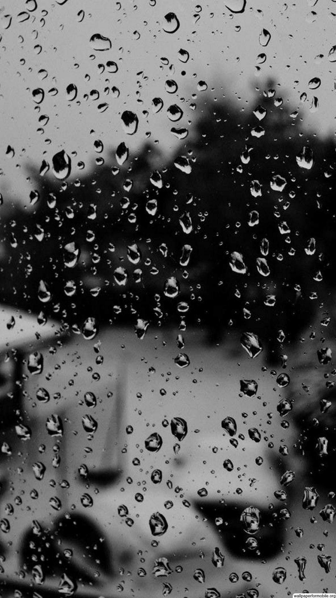 Rain Window Wallpapers