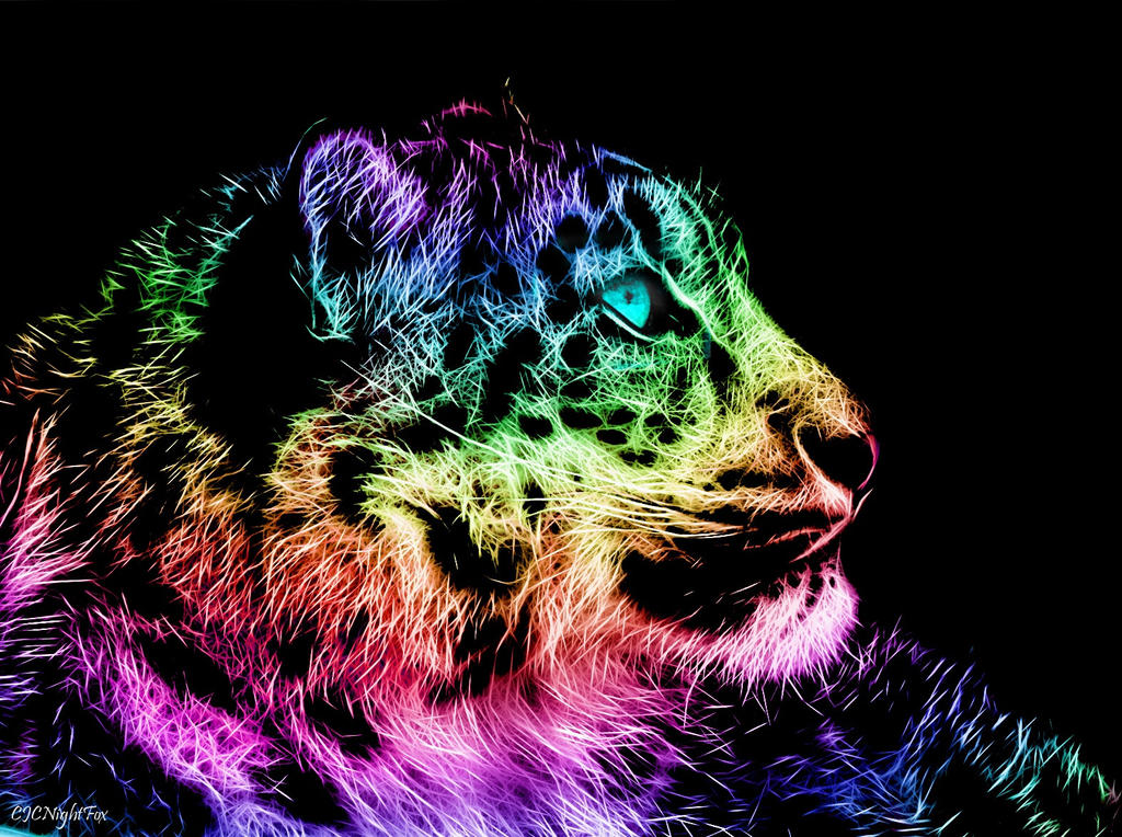 Rainbow Animals Wallpapers