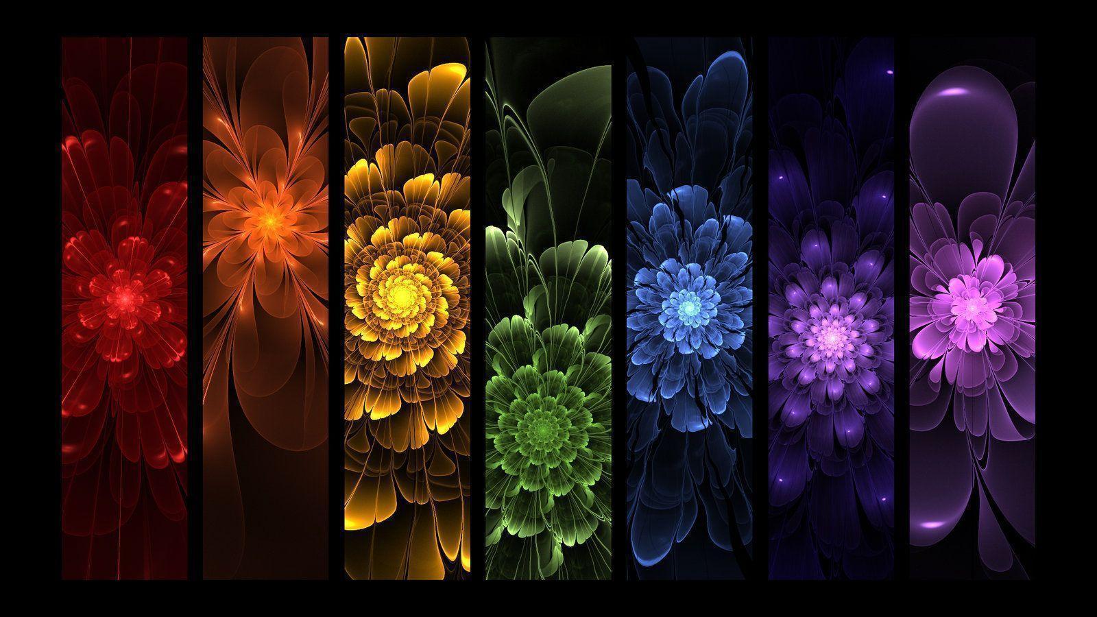 Rainbow Flowers Wallpapers