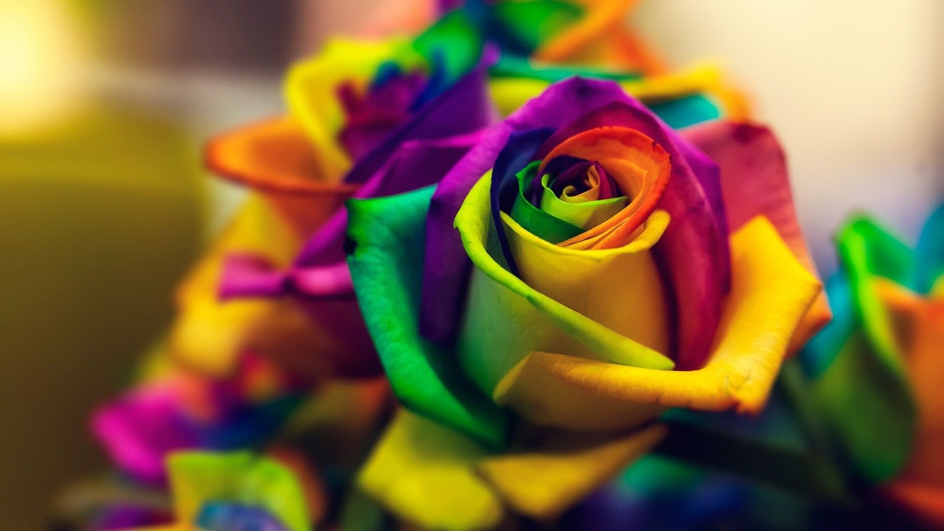 Rainbow Flowers Wallpapers