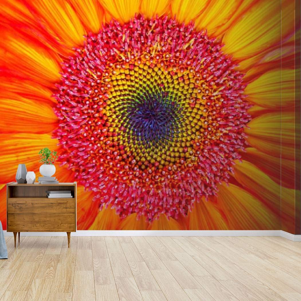 Rainbow Sunflower Wallpapers